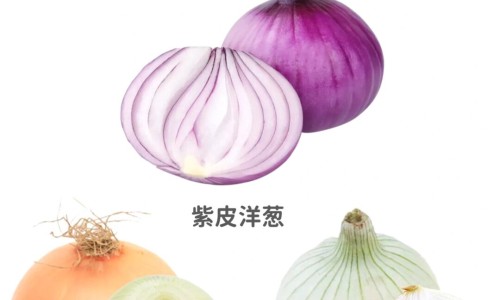 丝丽动能素的功效作用网—知名的丽丝塔动能素多少钱一支网站,分享丽丝塔动能素的功效知识