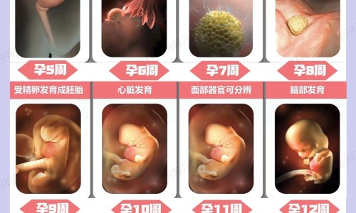 丝力516动能素-丝丽动能素的功效作用网—知名的丽丝塔动能素多少钱一支网站,分享丽丝塔动能素的功效知识